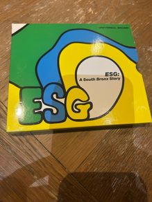 ESG - A South Bronx Story