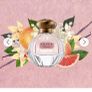 TOCCA cleopatra perfume Image 3
