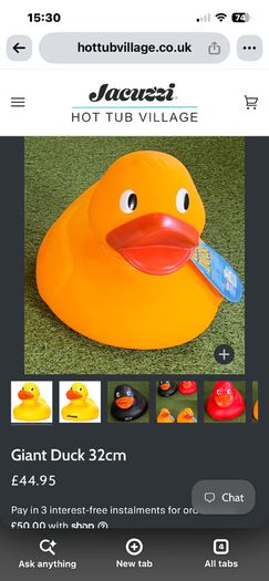Giant rubber duck Toy