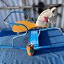 Vintage Leeway's child's rocking horse Image 2