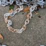 Anchor chain Image 2