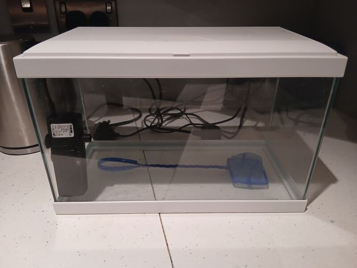 fish tank