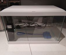 fish tank