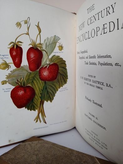 The New Century Encyclopaedia: Historical, Geographical, Biographical, and Scientific Information, Trade Statistics, Populations etc., Edited by R. W. Egerton Eastwick (Vols 6,7,8,9 &10) (PT261)