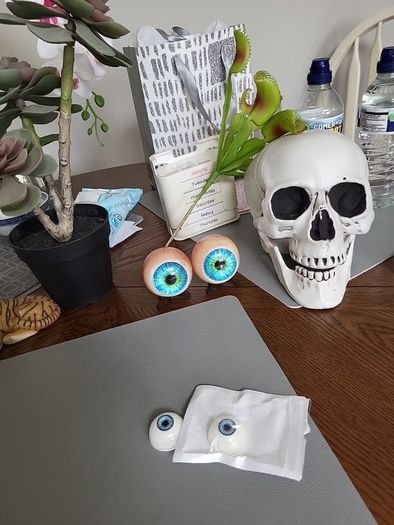 Pair of glass eyes