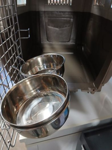 dog travel crate