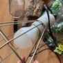 reptile accessories Image 9