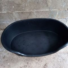 Dog Bed