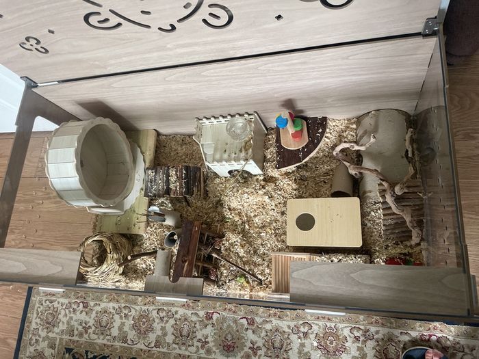 Hamster home