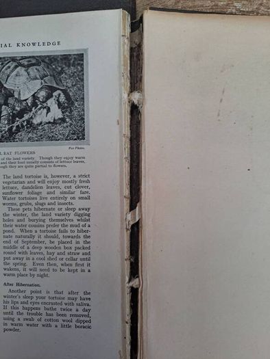 Vintage Pictorial Knowledge