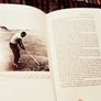 1969. Geoffrey Cousins. The Handbook Of Golf. Image 4