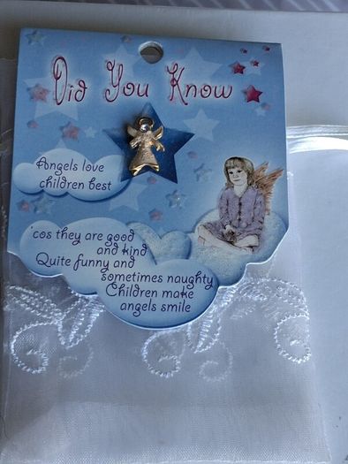 Guardian Angel Gift Pin Keepsake & Gift Bag
