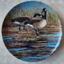 Collection of Limited Edition Collector Plates  Excellent Condition Image 7
