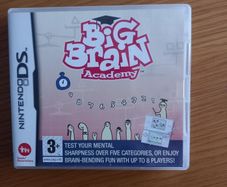 Nintendo DS game