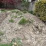 Top Soil Image 3