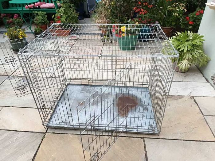 XL dog Crate