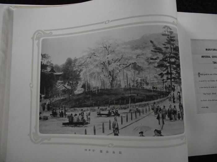 The Charming Views In The Land of The Rising Sun - K. Ogawa - 1904