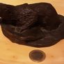 nice bronze effect otter Image 5