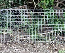 Galvanised Welded Wire Mesh Panels