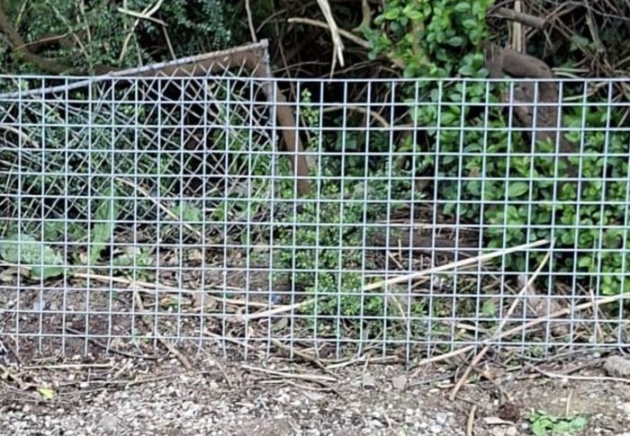 galvanised welded wire mesh