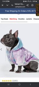 spark paws dog clothes