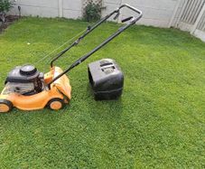 petrol lawnmower