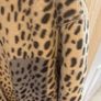 Marks and Spencer faux leopard print soft hair jacket Image 10