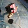 Domestic circulating pump Image 4