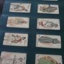 Will's Cigarette Card Album Image 6