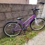 Acorn Serena Bike, 18 Speed Image 3