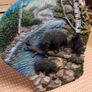 Bears fishing plaque Image 2