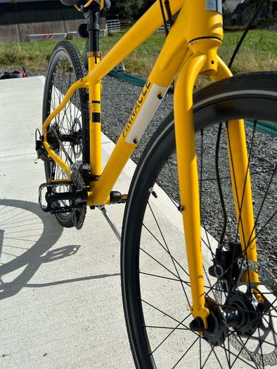 Pinnacle Lithium Hybrid Bike with Hydraulic Brakes