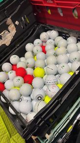 20 Seed Golf Balls