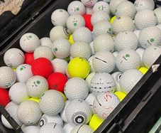 20 Seed Golf Balls