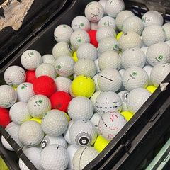 20 Seed Golf Balls