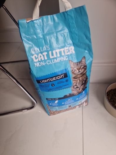 cat litter