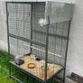 XXL Canaries / Bird Cage Image 2