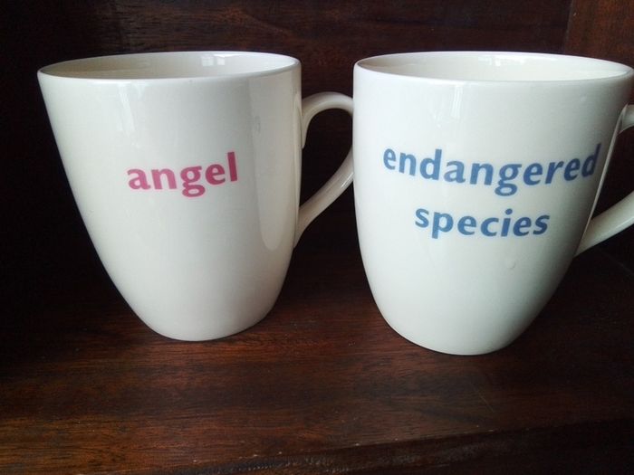 Novelty mugs