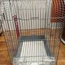 Bird cage medium Image 4