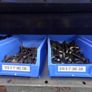 Nuts-bolts-brass-stainless Image 7