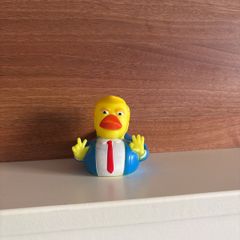 rubber ducks