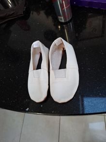 ballet shoes