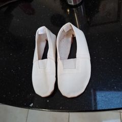 ballet shoes