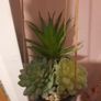 faux hanging plant Image 3