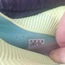 puma Image 5