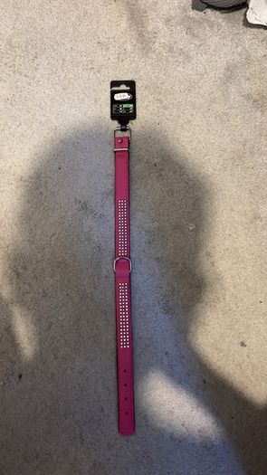 dog collar