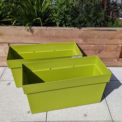 Blooma Green rectangular plastic plant pot