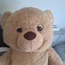 jumbo teddy Image 2