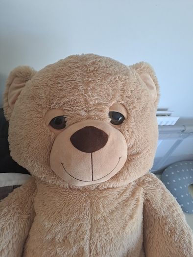 jumbo teddy