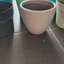 6 plant pots 3 ceramic and 3 plastic Image 9